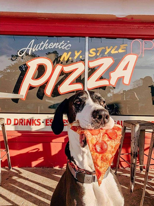 big mama pizza Miami